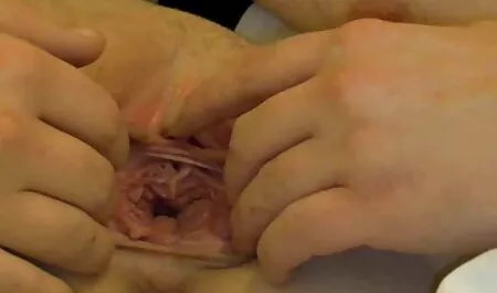 Hottie bekommt ihren Arsch von mutter vater sex einem harten Schwanz geschlagen