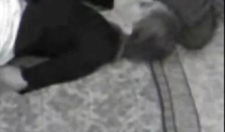 jp-video 188-1 er zwingt seine mutter zum sex