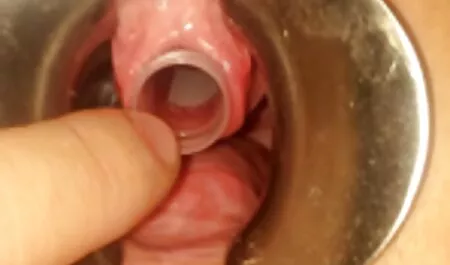 Zum ersten Mal Analsex mit dem schönen mutter vater tochter sohn sex Engel Lauren